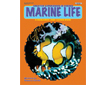 CREATIVE EXPERIENCES IN SCIENCE: Marine Life (289-3AP)